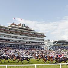 Berkshire Stand Trackside