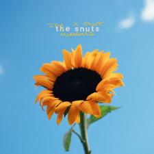 The Snuts Joy In Short Moments