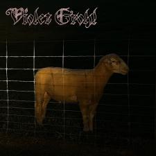 Violet 7 Inch