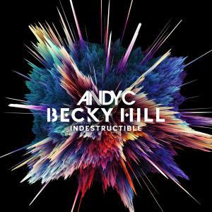 ANDYC BH INDESTRUCTIBLE Lo Res