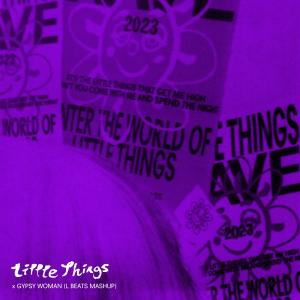 NEW LITTLETHINGS GYPSY REMIX Small