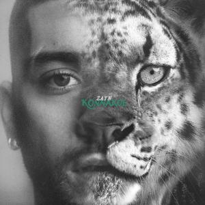ZAYN Konnakol Album Art